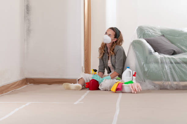Reliable Mold Testing contractor in Woodstock, MD by WQB Mold Removal