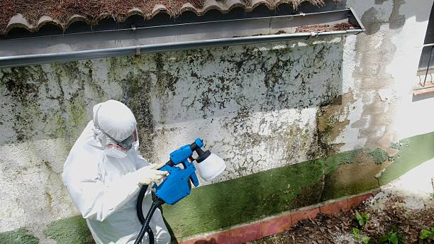 Top rated local Mold Testing specialists in Woodstock, MD